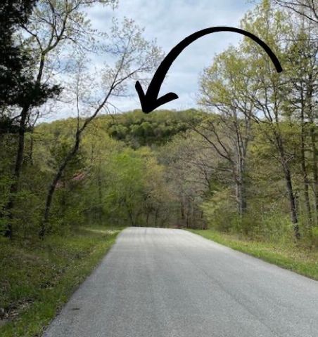 479 Split Rail Pass Lt. 2, Branson West, MO 65737