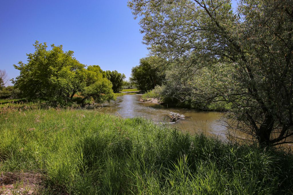 2899 Big Horn Avenue, Sheridan, WY 82801 photo 126