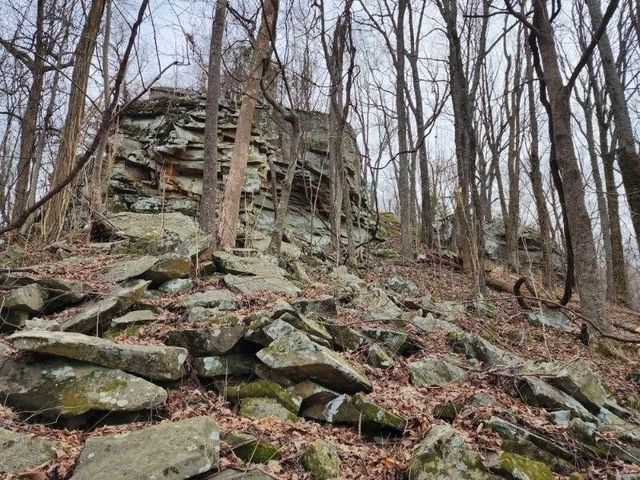 203 Crestview Ln, Sparta, TN 38583
