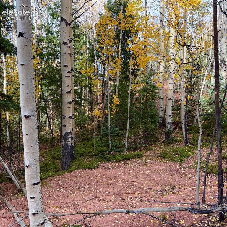1341 Calcite Drive, Divide, CO 80814 — exterior