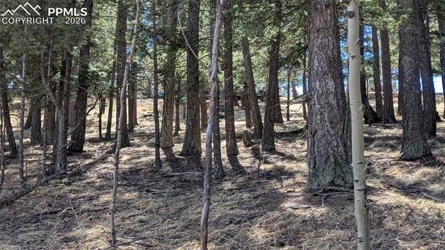 924 Will Scarlet Drive, Divide, CO 80814