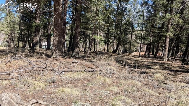 924 Will Scarlet Drive, Divide, CO 80814