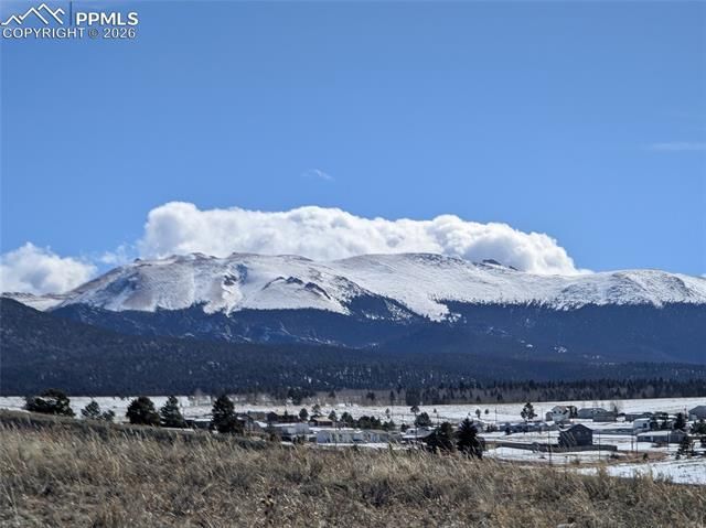 924 Will Scarlet Drive, Divide, CO 80814