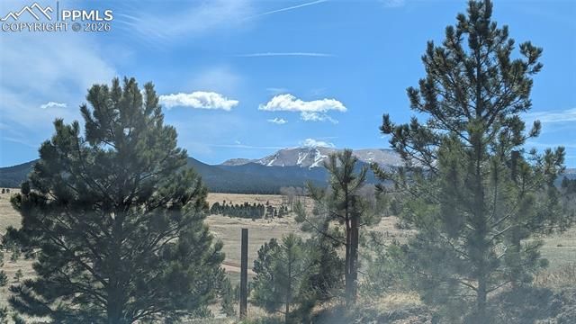 924 Will Scarlet Drive, Divide, CO 80814