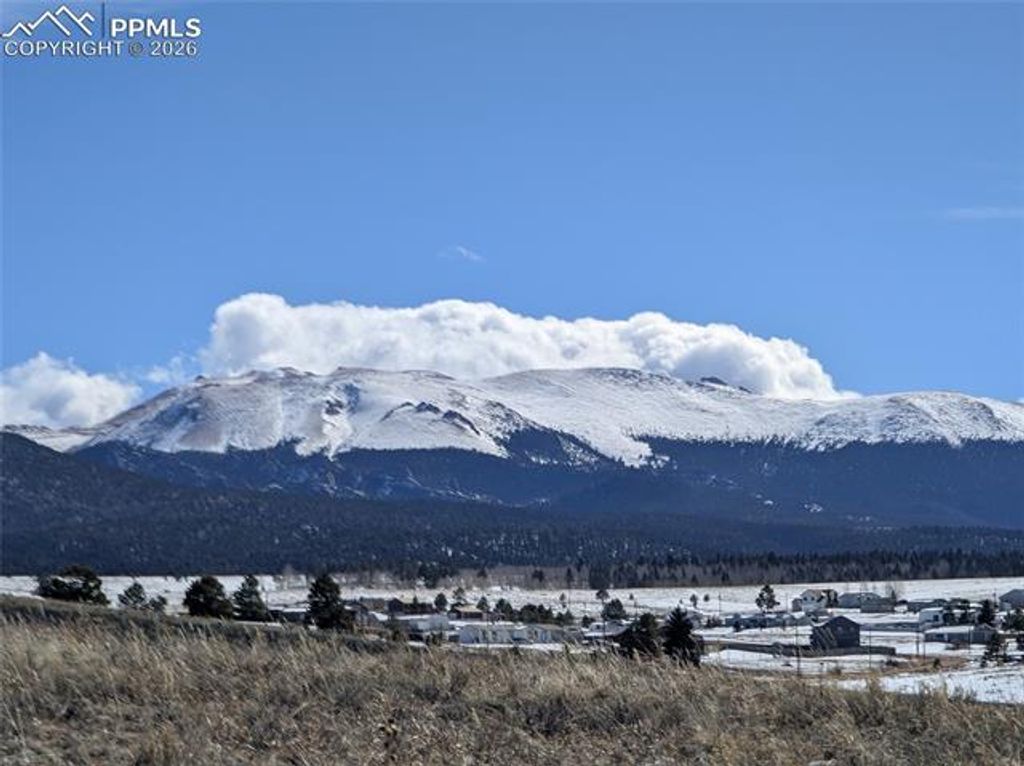 924 Will Scarlet Drive, Divide, CO 80814 — photo 4