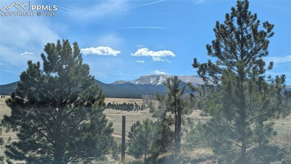 924 Will Scarlet Drive, Divide, CO 80814 — photo 5