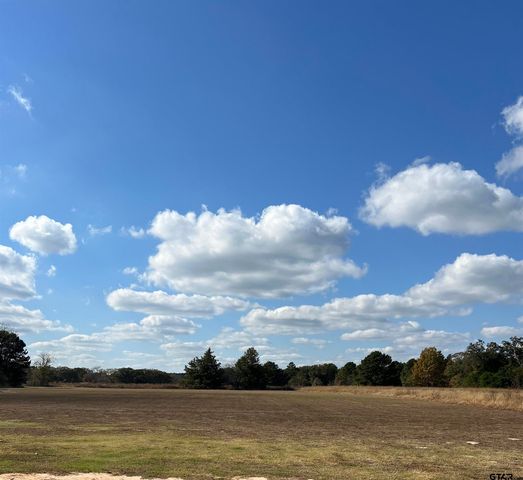 1190 COUNTY ROAD 3900, Hawkins, TX 75765