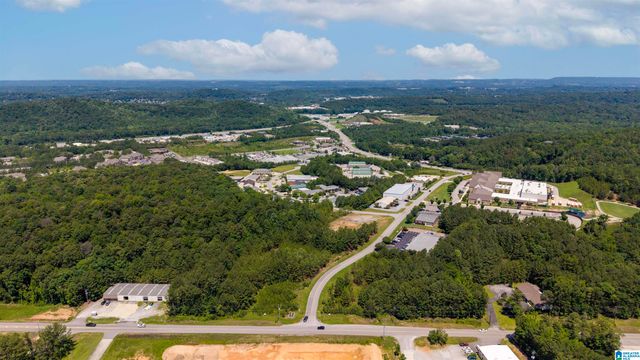 5124 SIMMS RIDGE, Pelham, AL 35124