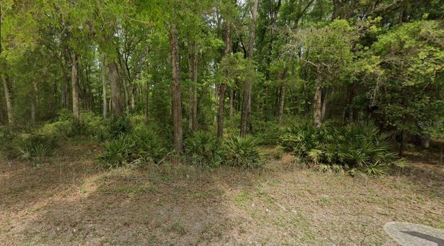 NE 400 AVE, Old Town, FL 32680