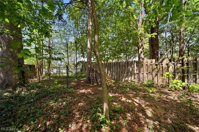 1712 Girard Street, Akron, OH 44301