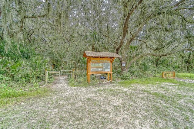 5218 TWIN CREEKS DRIVE, Valrico, FL 33596