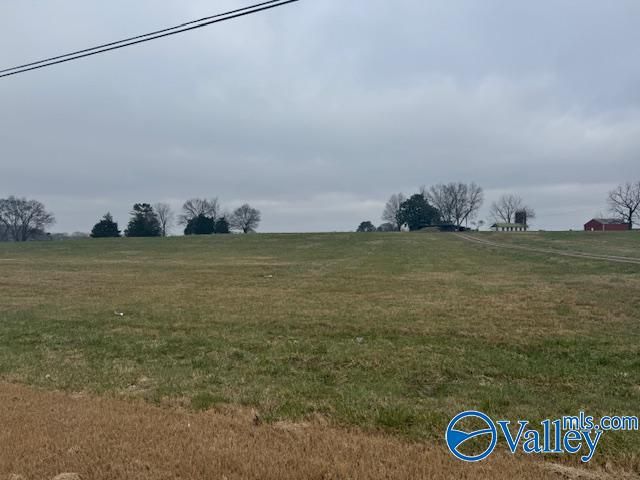 TRACT 8 Alabama Highway 99, Elkmont, AL 35620