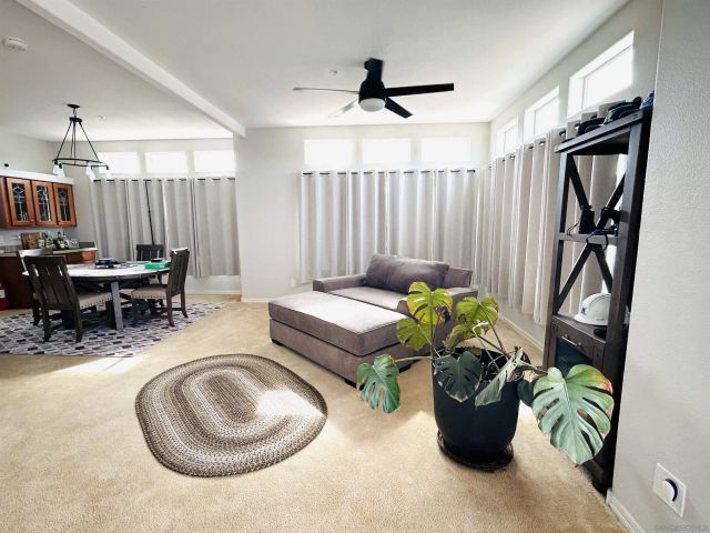 39201 Opalocka Road, Boulevard, CA 91905