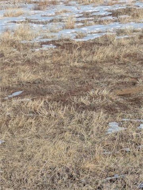 10515 Currier Road, Calhan, CO 80808 — photo 3
