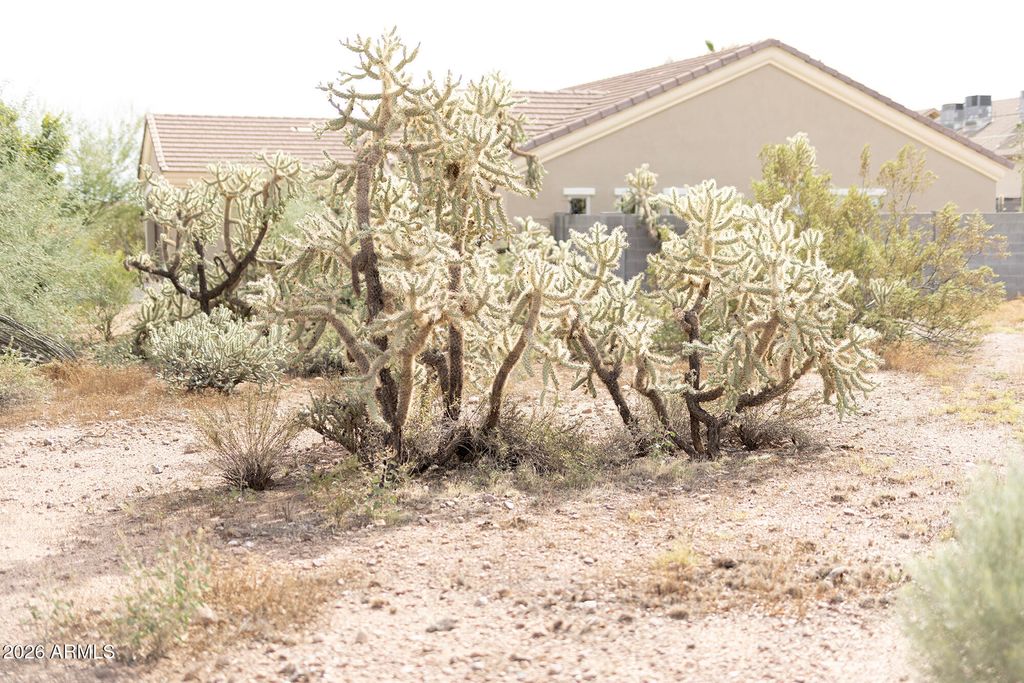 6148 S SAGE Way 178, Gold Canyon, AZ 85118 — exterior