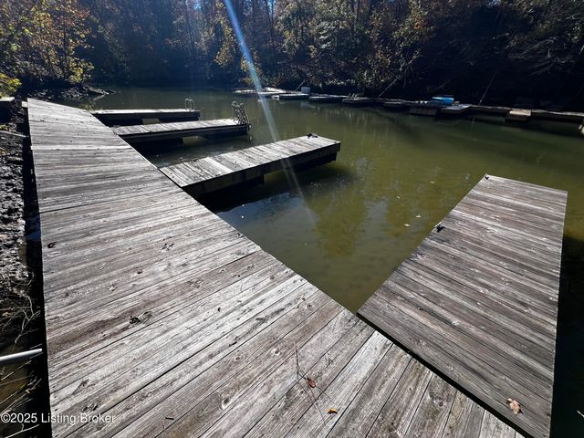 170 Moutardier Woods Rd, Leitchfield, KY 42754