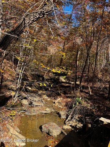 170 Moutardier Woods Rd, Leitchfield, KY 42754