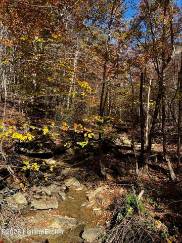 170 Moutardier Woods Rd, Leitchfield, KY 42754