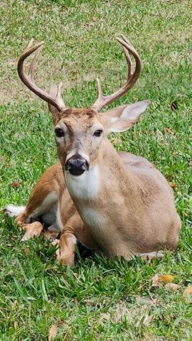 3171 DICK WILSON DRIVE, Sarasota, FL 34240