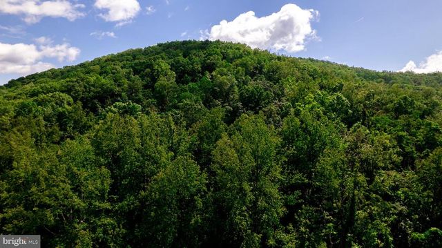 4179 FIERY RUN RD, Linden, VA 22642