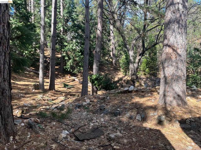 23981 Oxbow Ln, Sonora, CA 95370