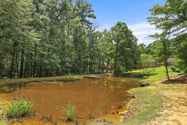 354 Lakeway Drive, Brandon, MS 39047