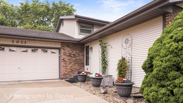 1033 Pheasant Drive, Bradley, IL 60915