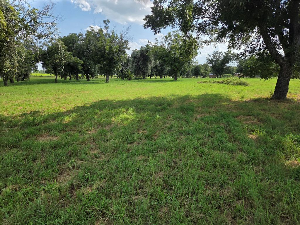 10005 Orchards Boulevard, Cleburne, TX 76033 — photo 2