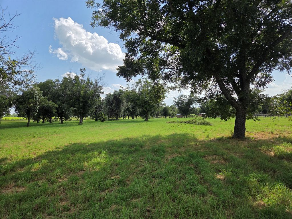 10005 Orchards Boulevard, Cleburne, TX 76033 — photo 3