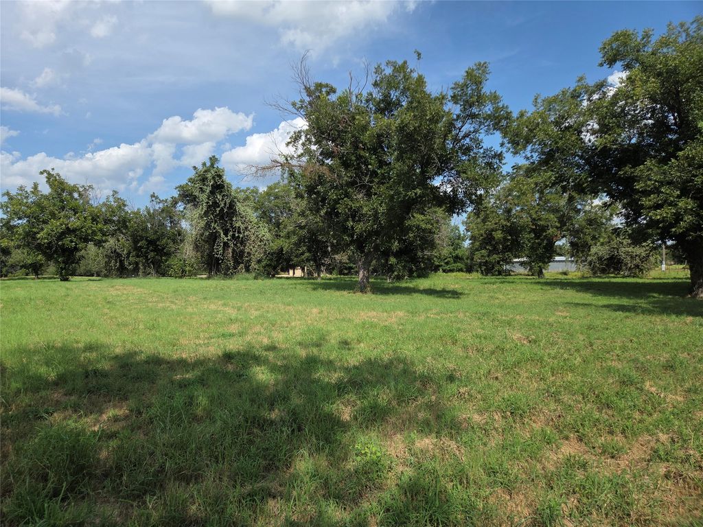 10005 Orchards Boulevard, Cleburne, TX 76033 — photo 5