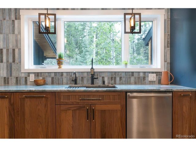 11203 S Barney Gulch Rd, Conifer, CO 80433