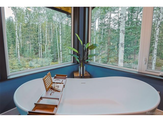 11203 S Barney Gulch Rd, Conifer, CO 80433