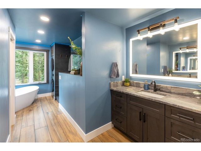 11203 S Barney Gulch Rd, Conifer, CO 80433