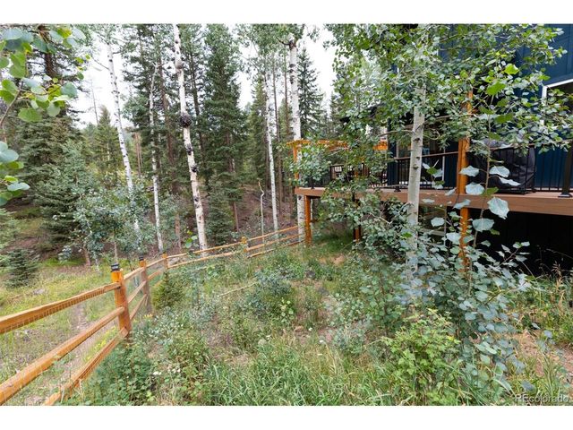 11203 S Barney Gulch Rd, Conifer, CO 80433