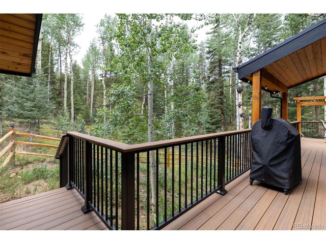 11203 S Barney Gulch Rd, Conifer, CO 80433