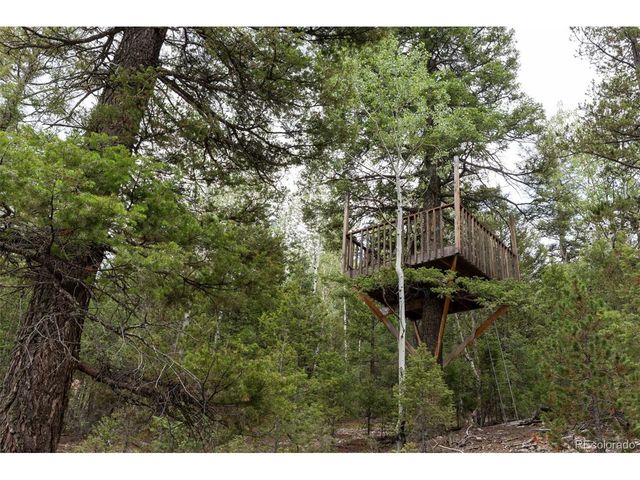 11203 S Barney Gulch Rd, Conifer, CO 80433