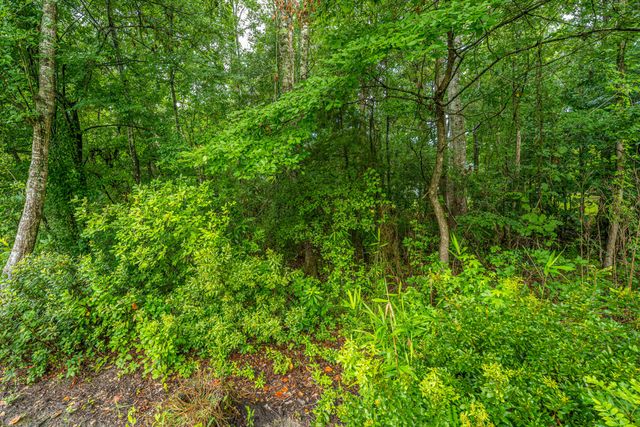 271 Bateaux Drive, Summerville, SC 29483