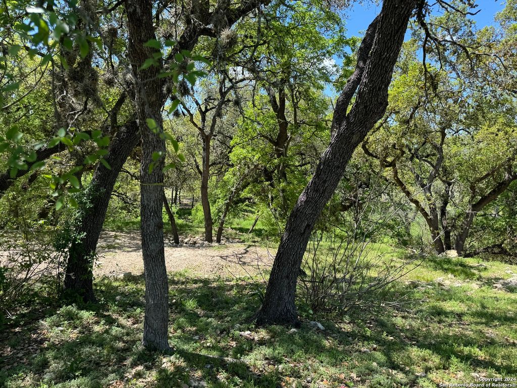 56 Eton Green Cir, San Antonio, TX 78257