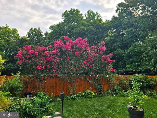 7114 WESTFIELD CT, Alexandria, VA 22306