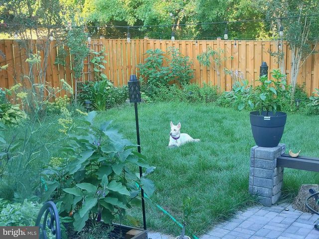 7114 WESTFIELD CT, Alexandria, VA 22306