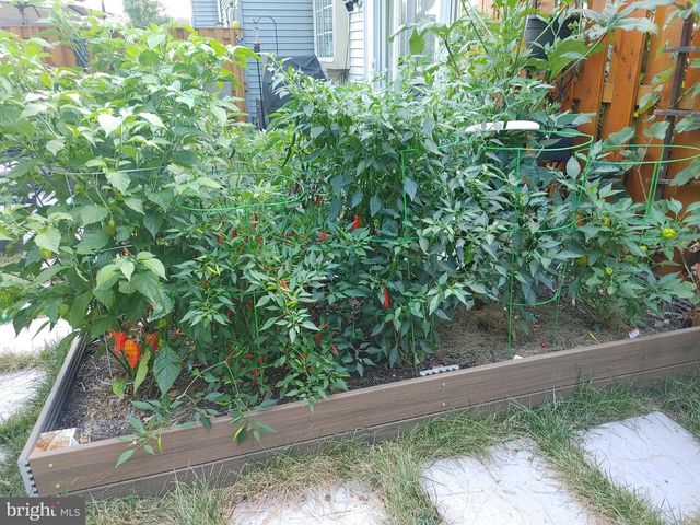 7114 WESTFIELD CT, Alexandria, VA 22306