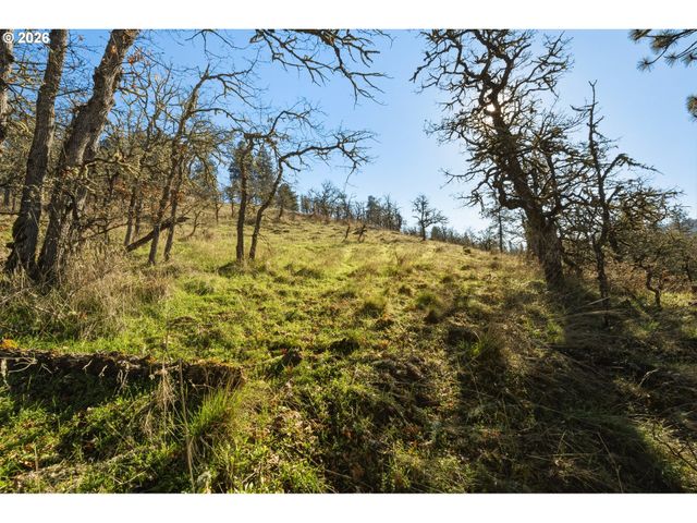 Dry Creek Rd, Mosier, OR 97040