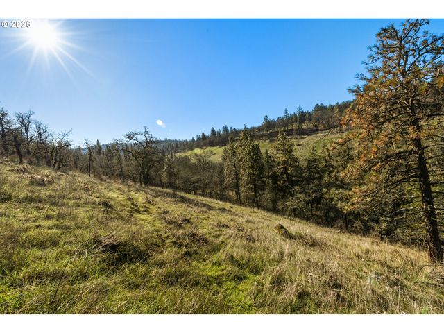 Dry Creek Rd, Mosier, OR 97040