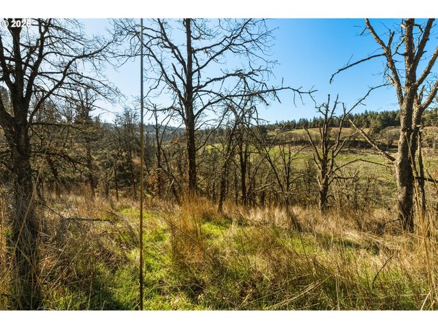 Dry Creek Rd, Mosier, OR 97040