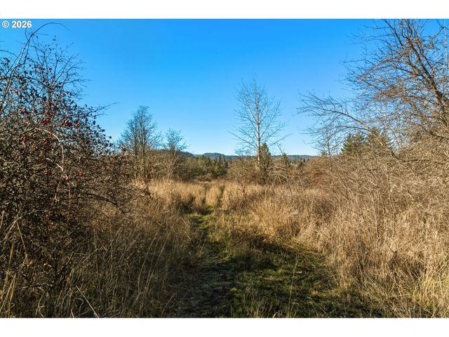 Dry Creek Rd, Mosier, OR 97040