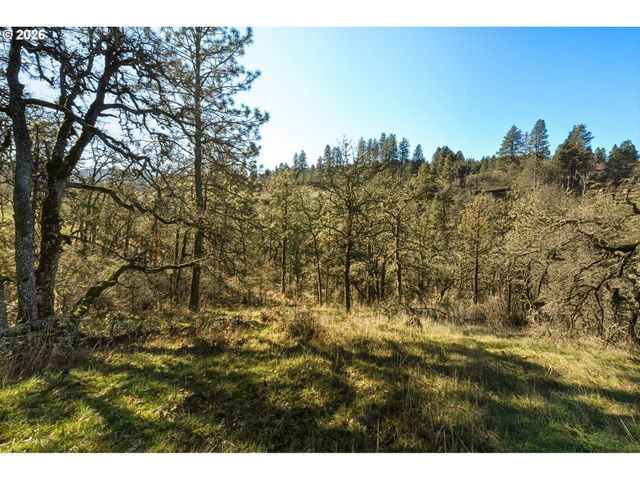 Dry Creek Rd, Mosier, OR 97040