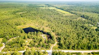34.38 Ac Stag Drive, Hampstead, NC 28443