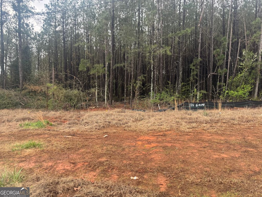 6679 Highway 42, Rex, GA 30273