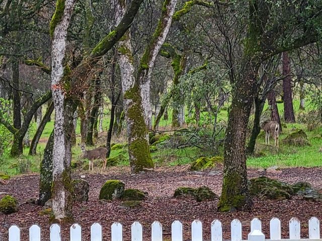 19890 Perimeter Rd, Grass Valley, CA 95949