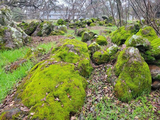 19890 Perimeter Rd, Grass Valley, CA 95949